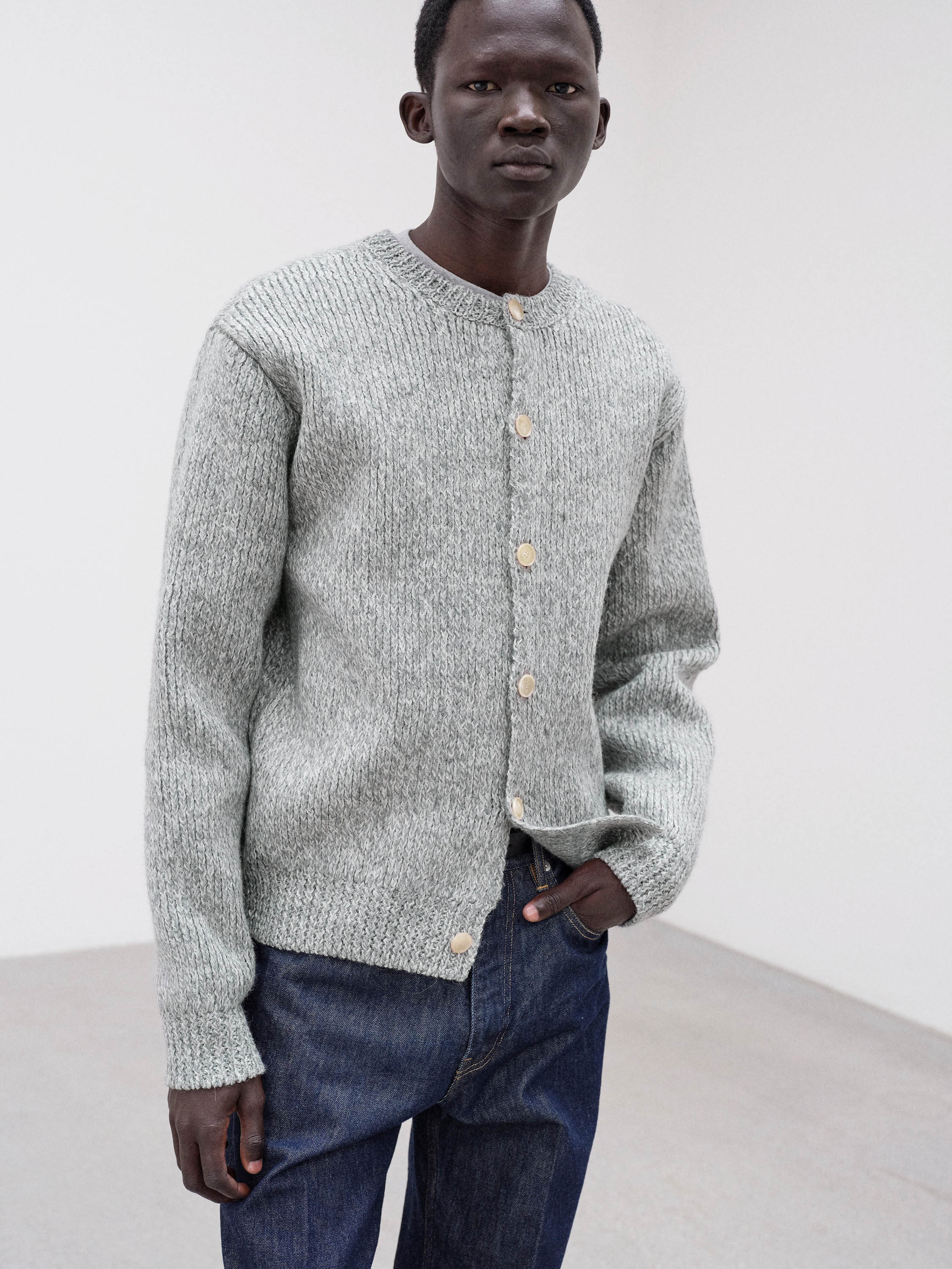 DOUBLE-FACED WOOL ALPACA LOW GAUGE KNIT CREW-NECK CARDIGAN 詳細画像 LIGHT GRAY 1