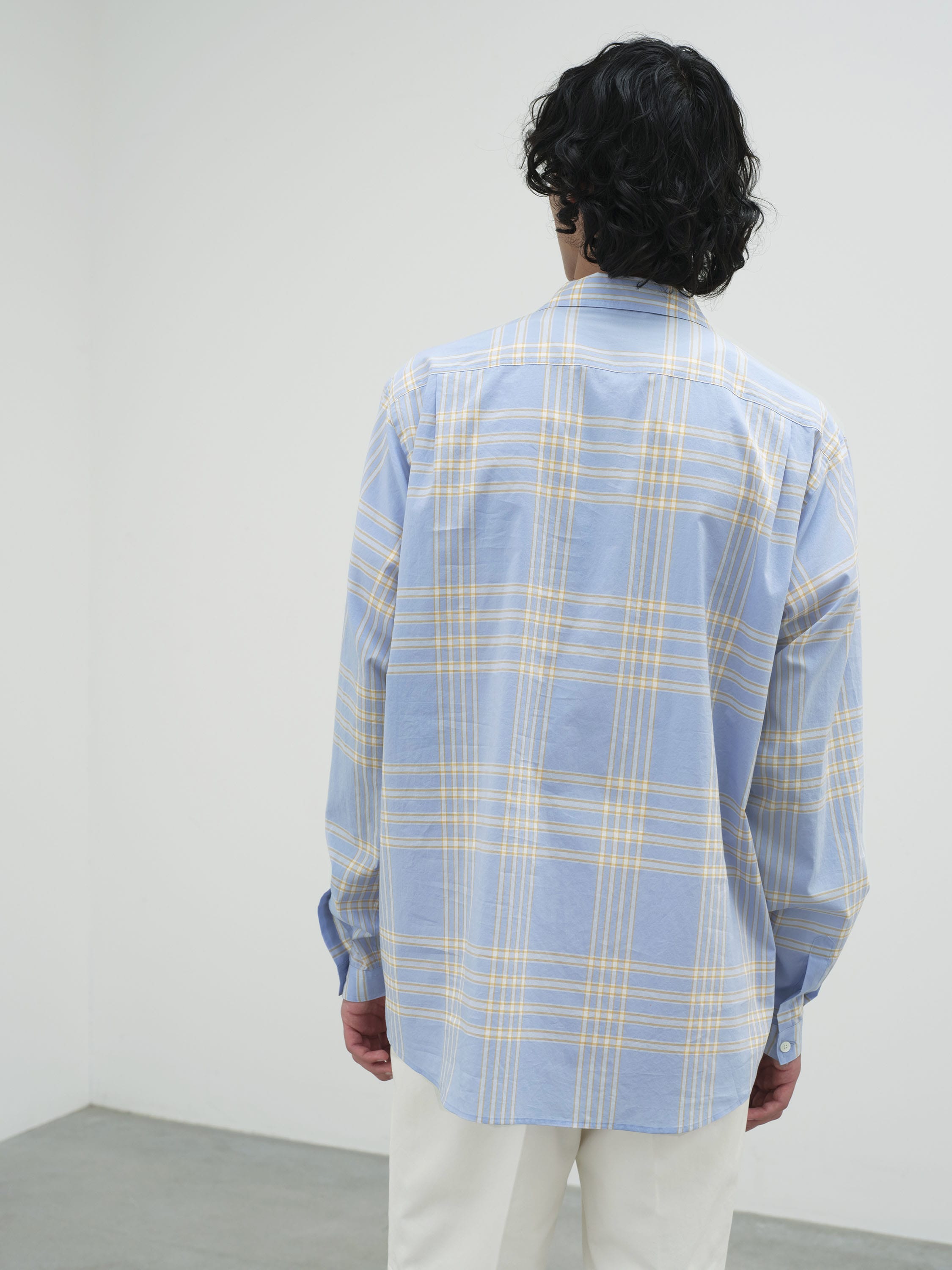 WASHED FINX TYPEWRITER CHECK P/O SHIRT 詳細画像 LIGHT BLUE CHECK 3