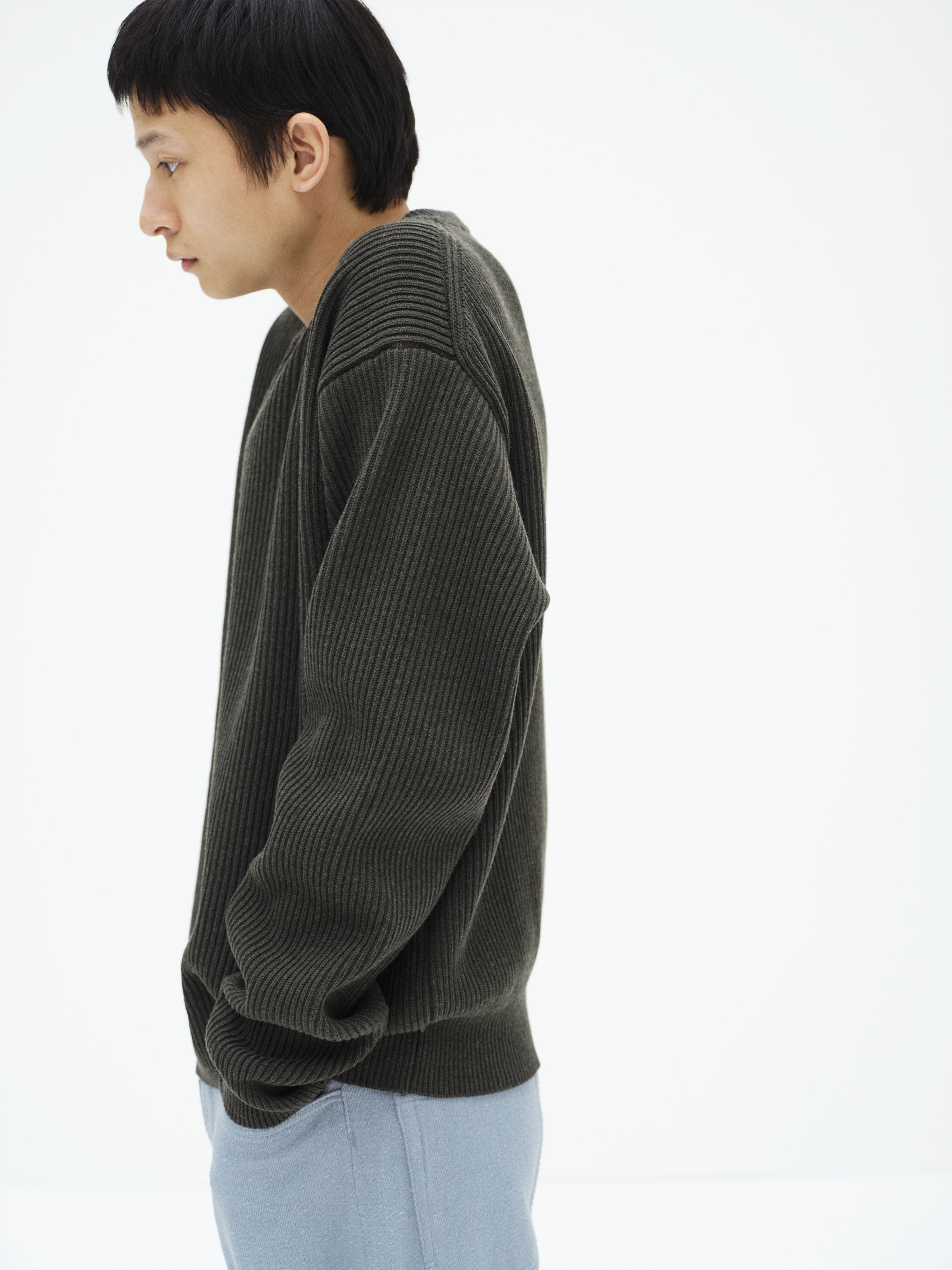 SUPER FINE WOOL RIB KNIT P/O - AURALEE Official Website